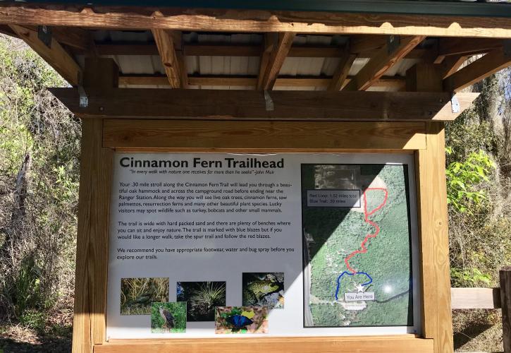Cinnamon Fern Trail head Lake Griffin