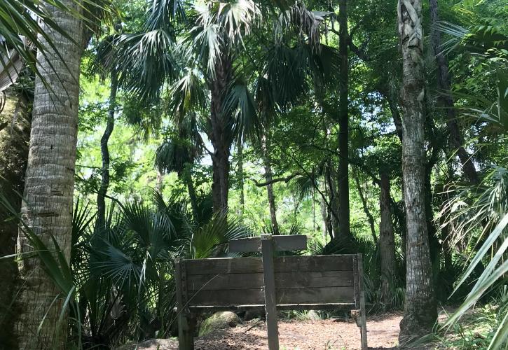 Hammock Hiking Nature Trail Hontoon Island