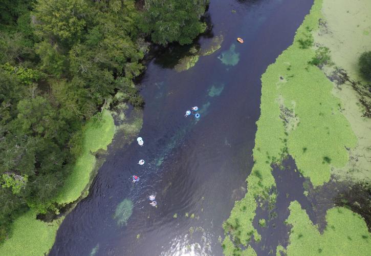 Ichetucknee Springs
