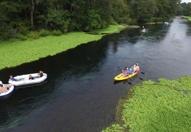 Ichetucknee Springs Kayakers
