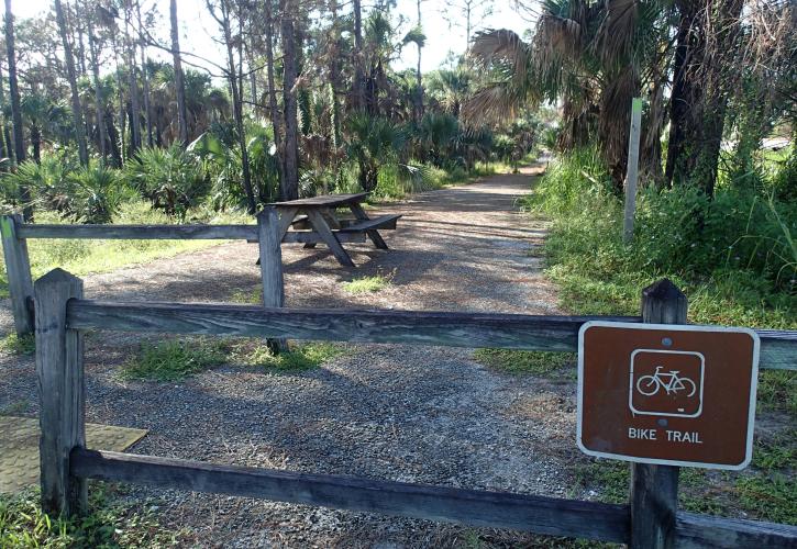 A view of the Camp Murphy Bike Trail.