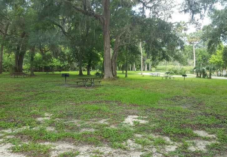 Lower Wekiva River Preserve Picnic