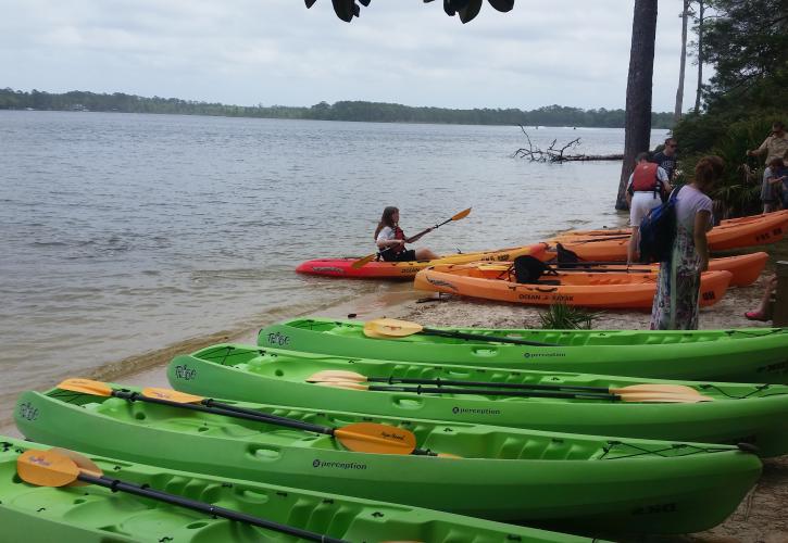 Kayaker pulls up to line of kayaks on the shoreline. 