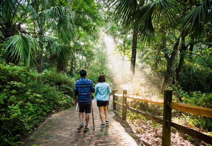 A view of two people walking along the trail.