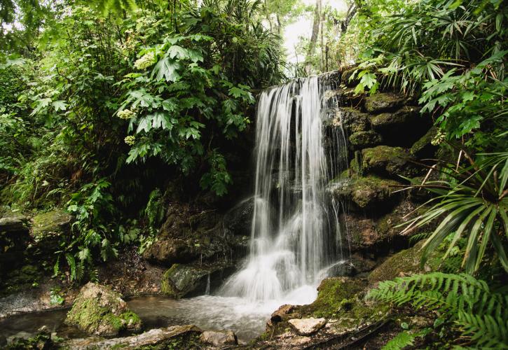 A view of the waterfall.