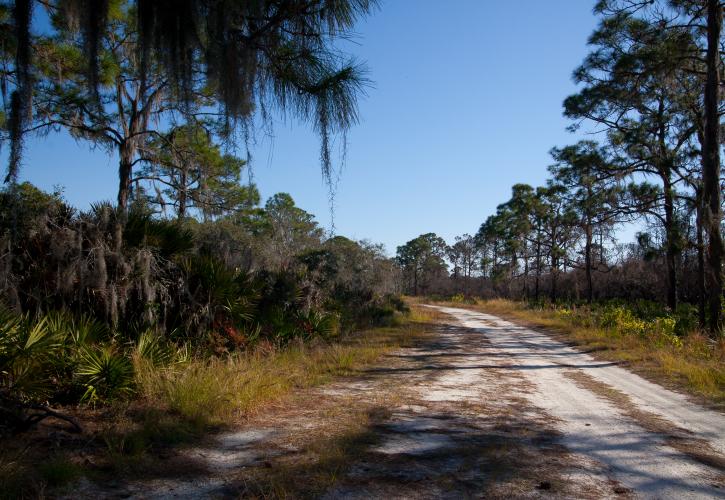 A view of the scrub trail entrance.