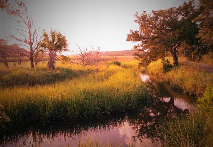 Lake Griffin Sunset