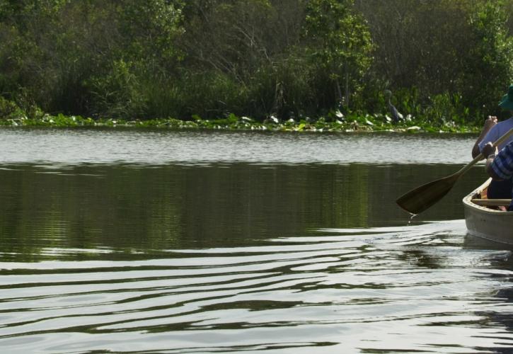 Lake Griffin Paddling