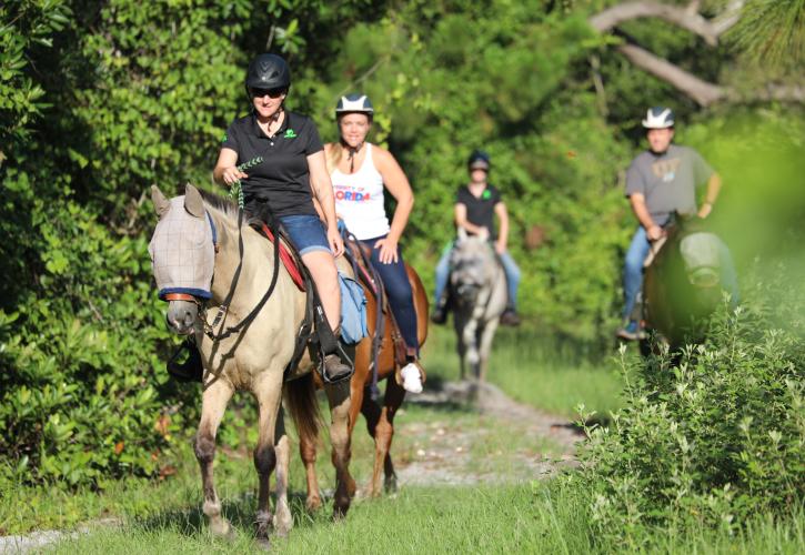 Equestrian Trails