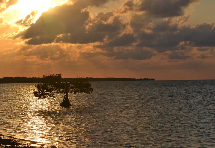 A view of the sunrise over the water.