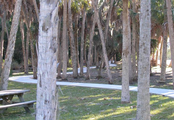 A view of the paved path winding through a small clearing.