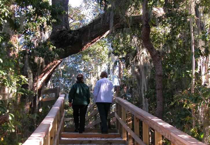 A view of two people walking on the boardwalk.