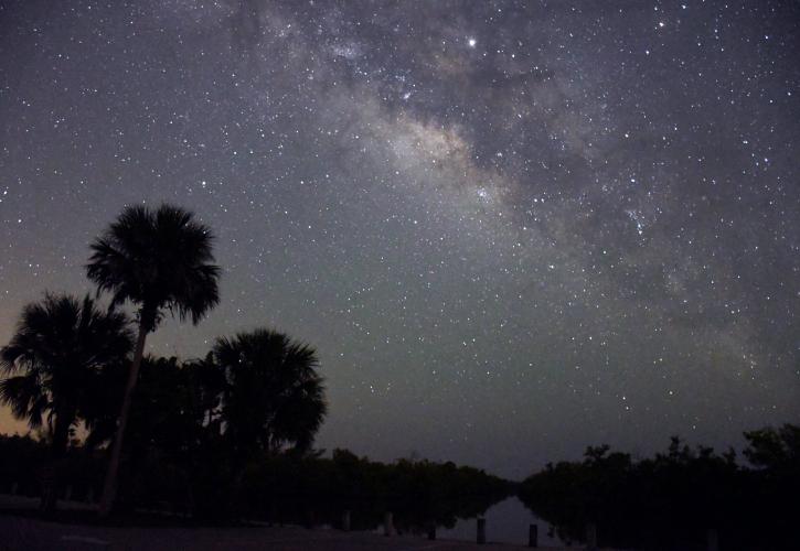 Night sky with stars of the milky way above the Blackwater River with palms