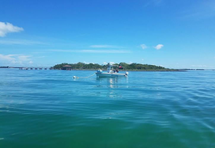 Mooring Buoys at Indian Key