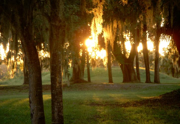 Mound at Crystal River Archaeological State Park