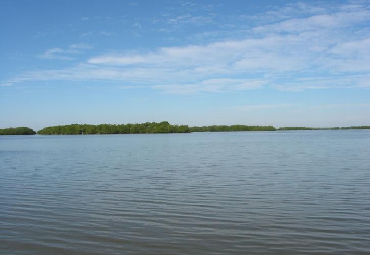 Mound Key Archaeological State Park