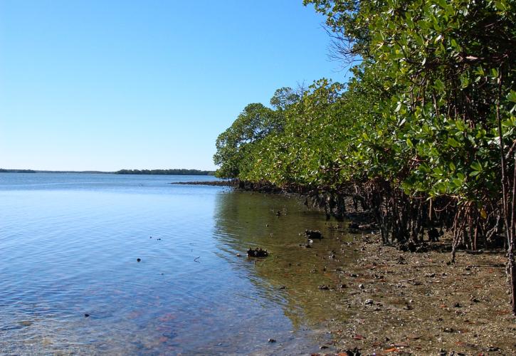 Mound Key Archaeological State Park