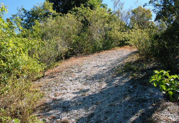 Mound Key Archaeological State Park