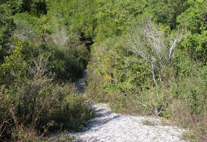 Mound Key Archaeological State Park