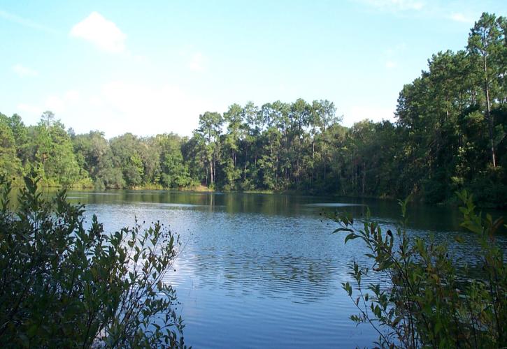 Blue Pond at Dunns Creek