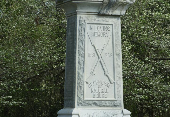 N.B. monument with Dogwood blooming