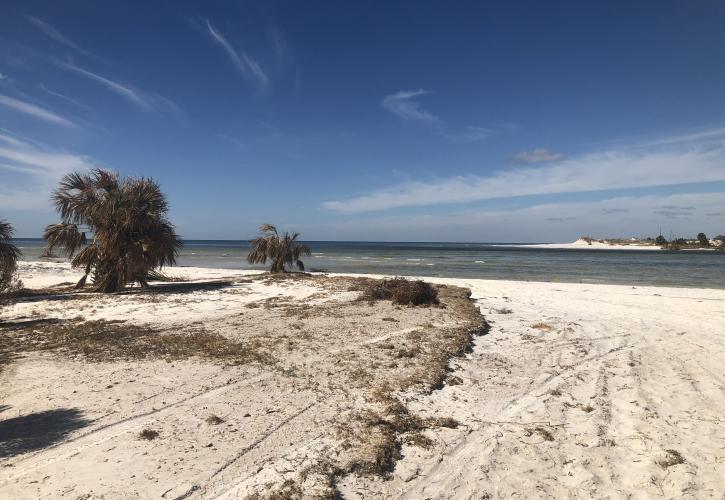 A view of the eroded beach shore.