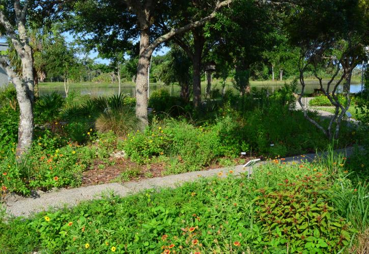 Garden area around the park office