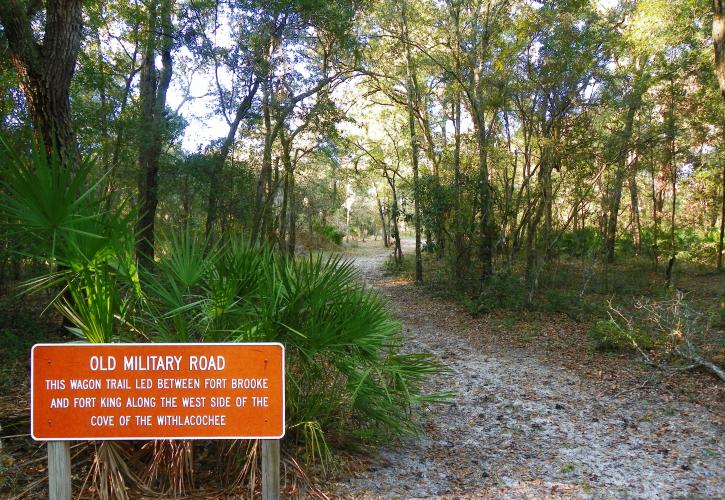 Echoes in the Cypress: Fort Cooper and the Enduring Ghosts of Florida's Second Seminole War