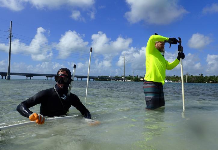 Staff and Volunteers Install Bird Stakes 