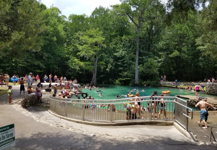 Ponce de Leon Springs