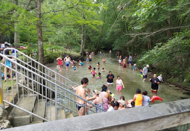 Ponce de Leon Springs