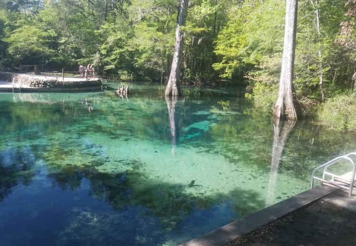 Ponce de Leon Springs