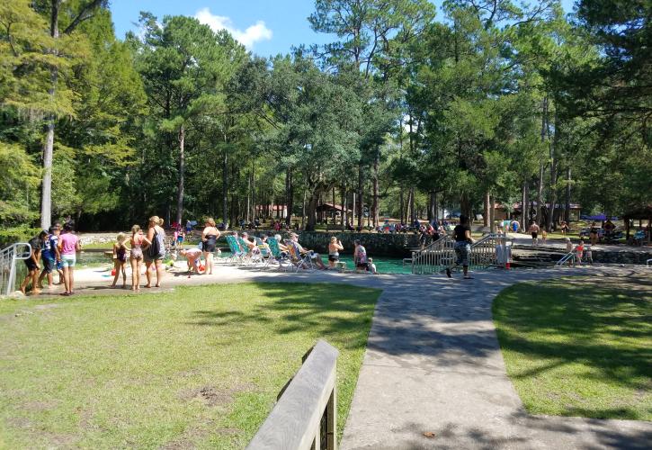 Ponce de Leon Springs