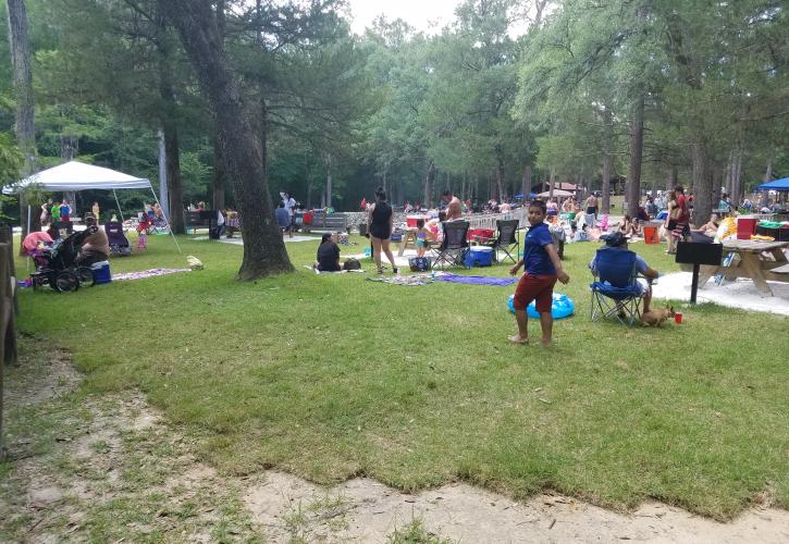 Ponce de Leon Springs