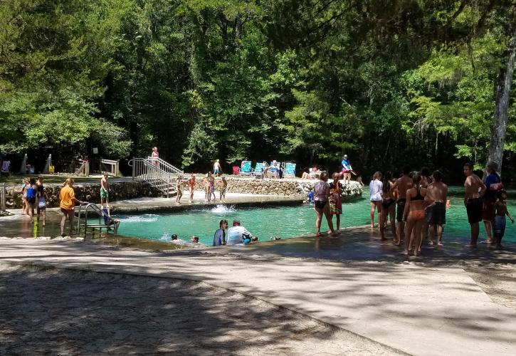 Ponce de Leon Springs