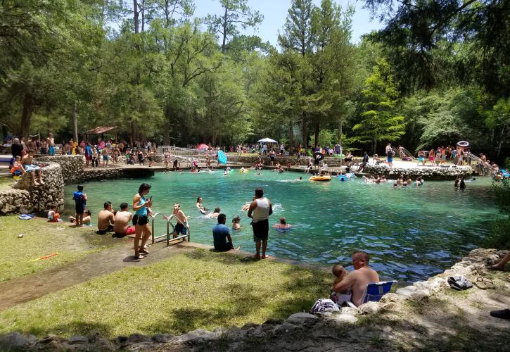 Ponce de Leon Springs