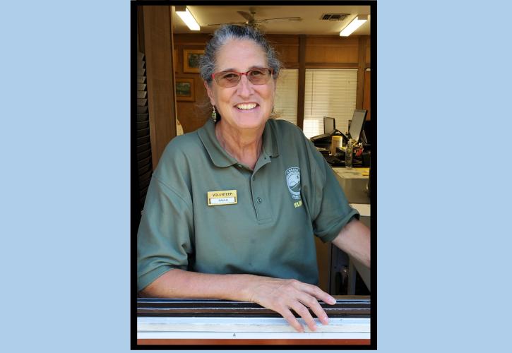 woman wearing green shirt volunteer in office