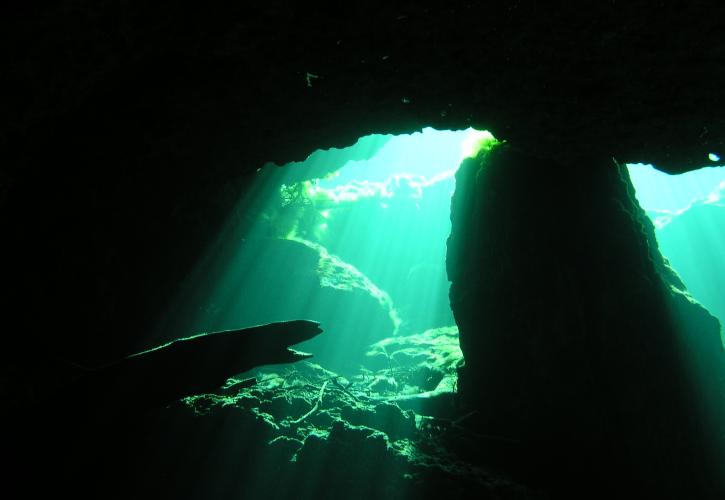 Peacock Springs Underwater Open