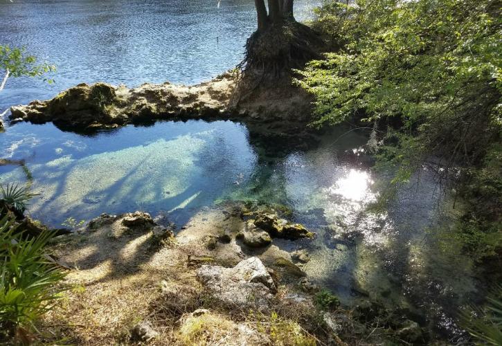 Peacock Running Springs
