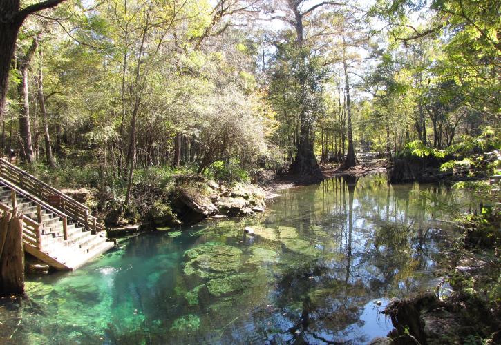Peacock Springs