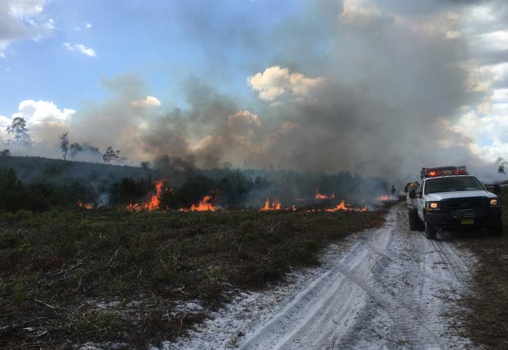 Prescribed Burn at Dunns Creek