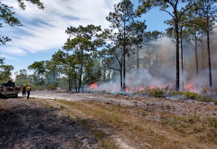 Pumpkin Hill Controlled Burn