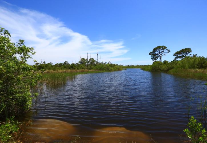 Charlotte Harbor Preserve State Park