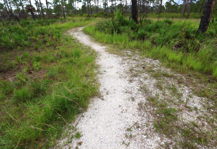 Charlotte Harbor Preserve Nature Trail