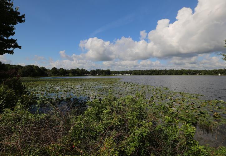 Withlacoochee State Trail | Florida State Parks