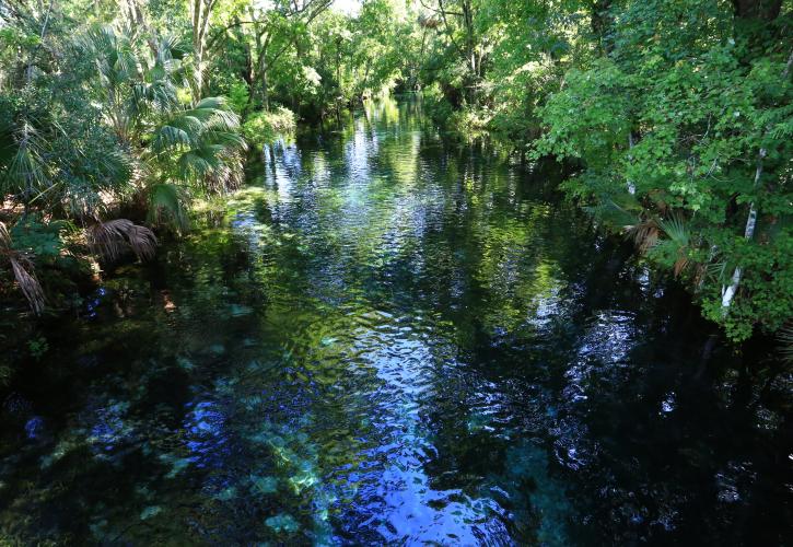 Silver Springs State Park | Florida State Parks