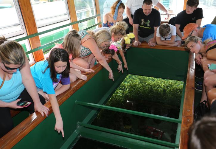 Glass Bottom Boat Tours