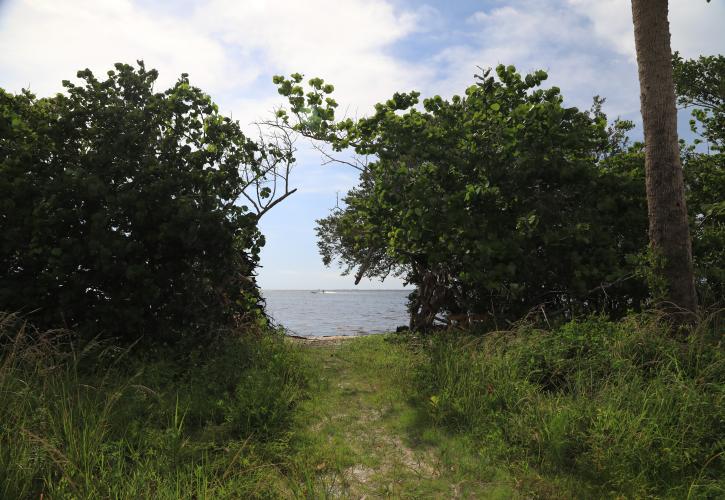 Charlotte Harbor Preserve Trail to the Bay