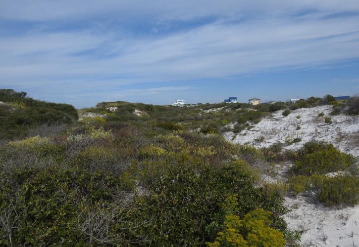 The dunes at William J. "Billie Joe" Rish Recreation Area provide habitat for a variety of animals.