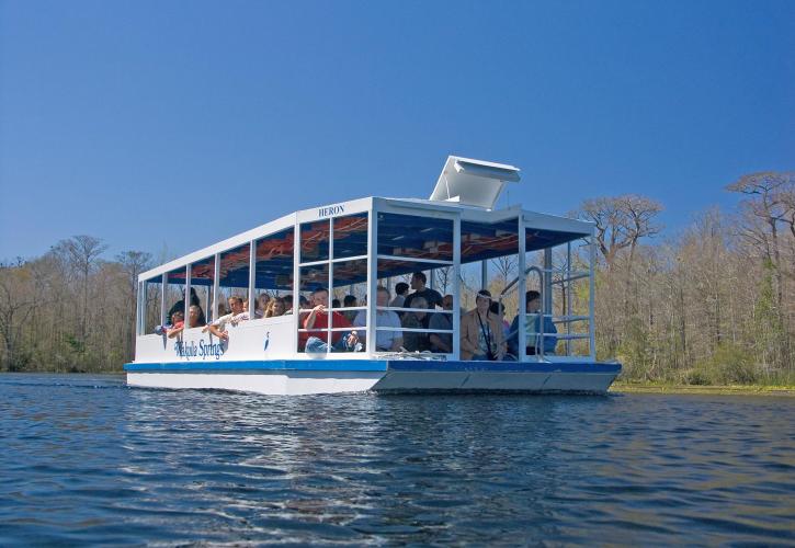 River Boat Tour on Spring Run